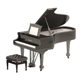 Grand Piano with Stool Notes